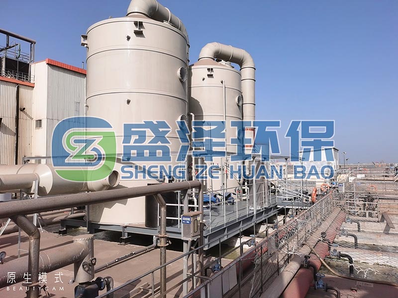 油脂行业水处理车间异味治理​